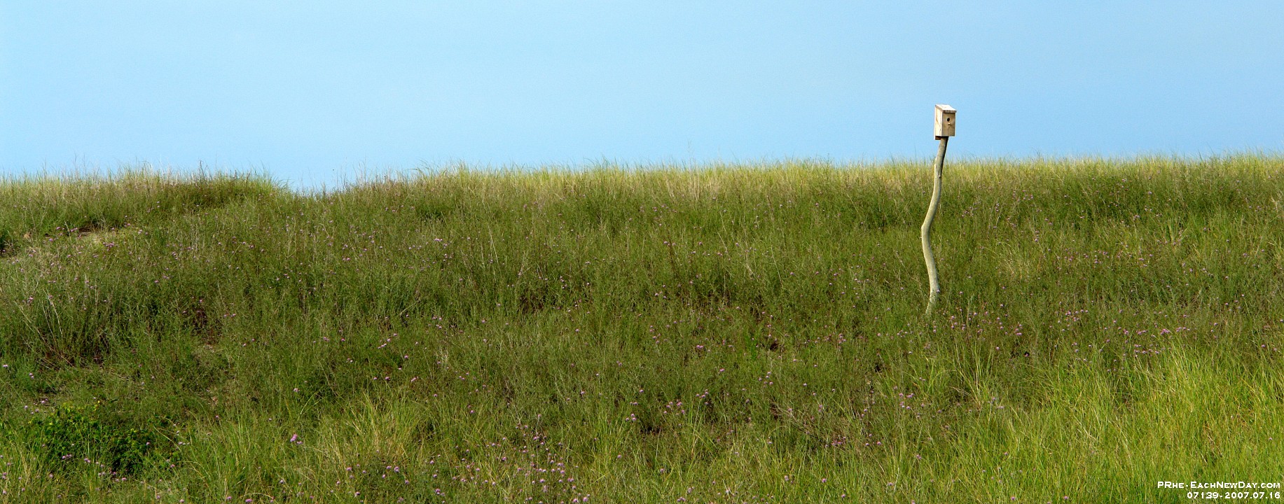 07139cl - Family Vacation - An afternoon at Sandwich Beach - Marsh Walk - Sandwich, MA